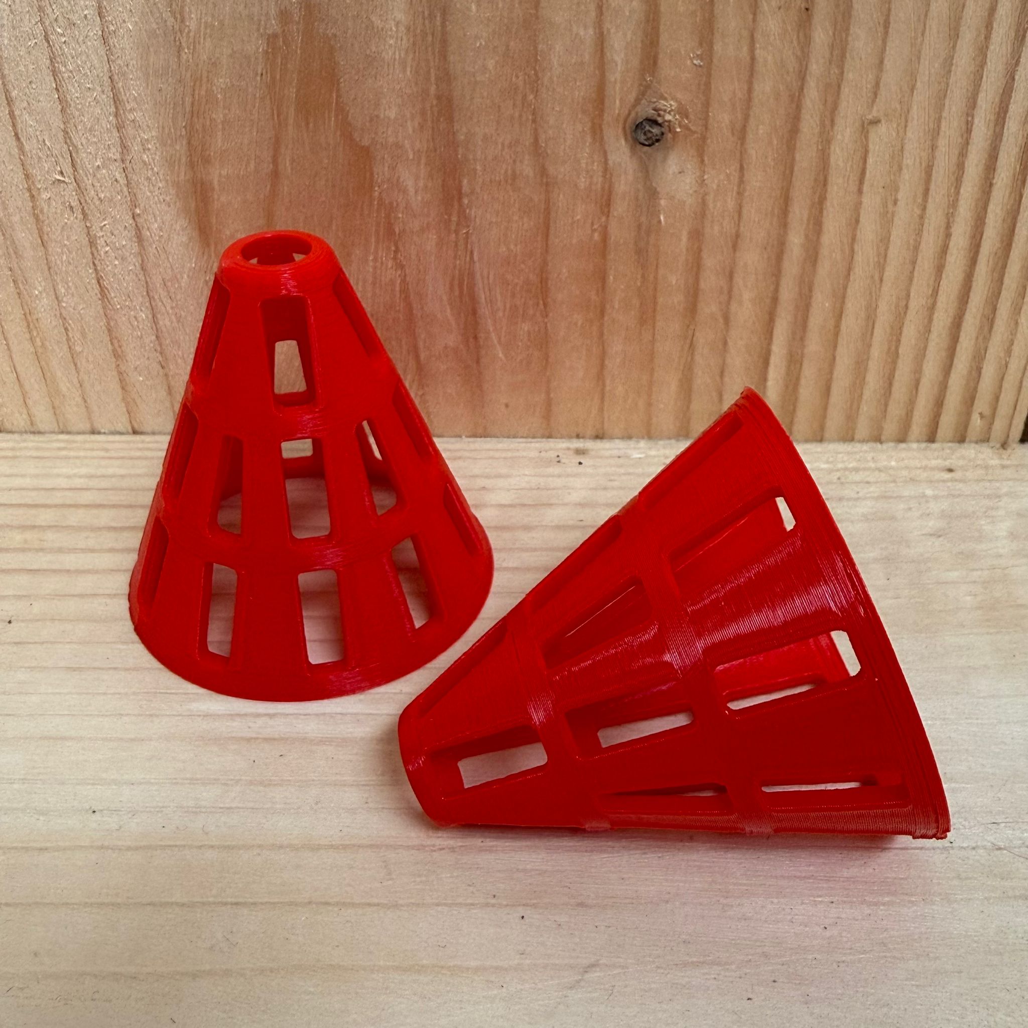 Aziatischehoornaar cone rood - Landjuweel